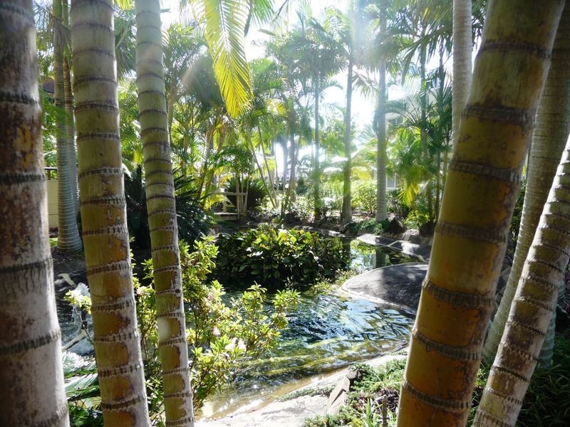 71/1 Lee Road, Runaway Bay QLD 4216