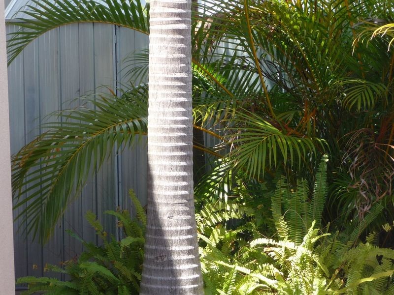 93 Limetree Parade, Runaway Bay QLD 4216