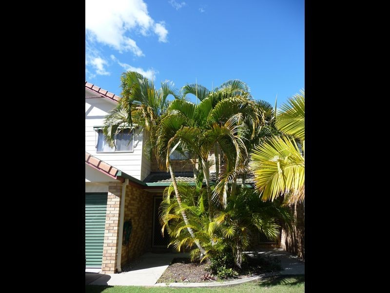 19/643 Pine Ridge Road, Biggera Waters QLD 4216