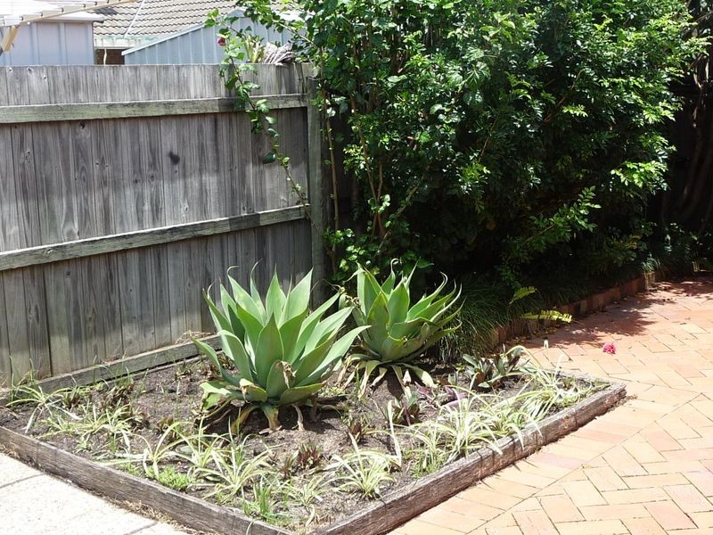 66 Sidney Nolan Drive, Coombabah QLD 4216