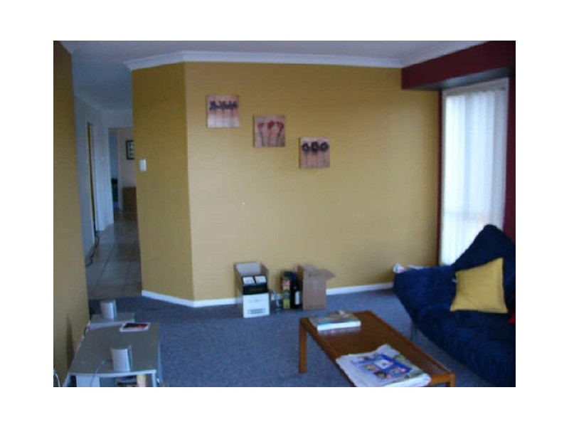 10 Bernini Dve, Coombabah QLD 4216