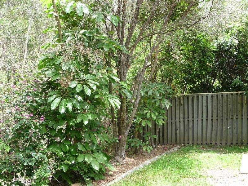 65/179 Coombabah Road, Runaway Bay QLD 4216