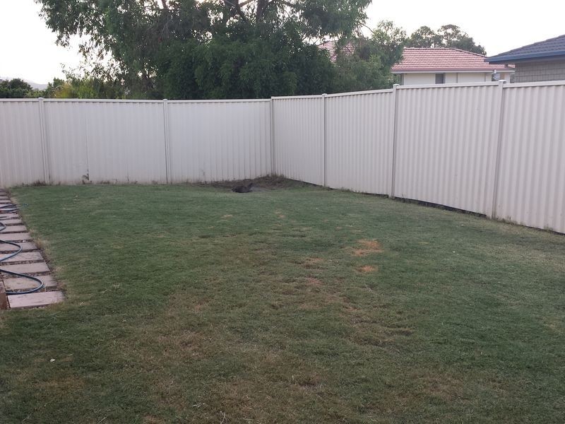 142 Christina Ryan Way, Arundel QLD 4214