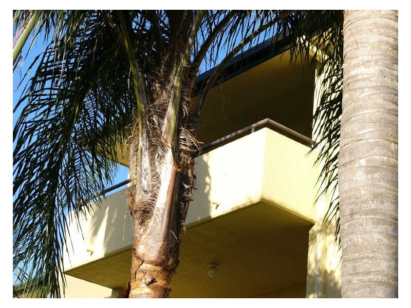 18/65 Bayview Street, Runaway Bay QLD 4216