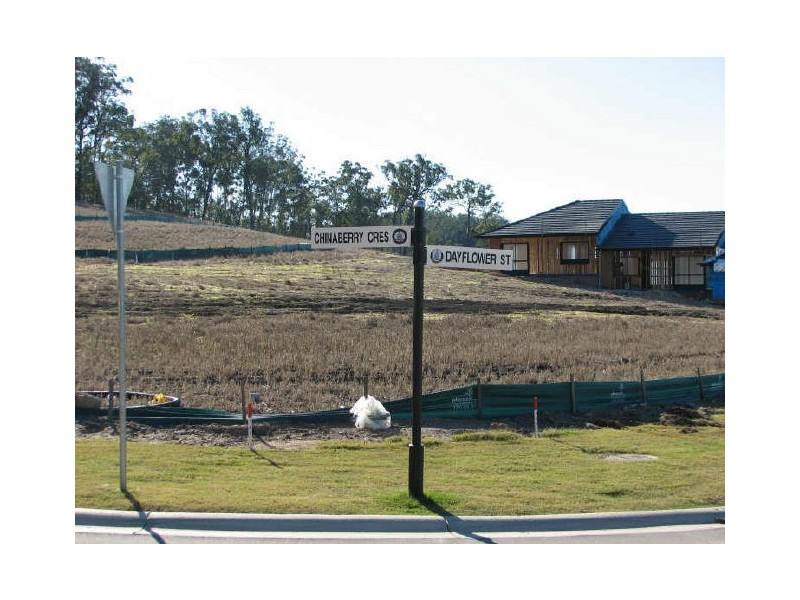 1 Chinaberry Crescent, Upper Coomera QLD 4209