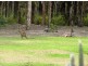 12/27 Rain Tree Glen, Coombabah QLD 4216