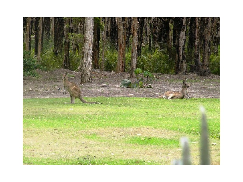 12/27 Rain Tree Glen, Coombabah QLD 4216