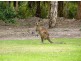 12/27 Rain Tree Glen, Coombabah QLD 4216