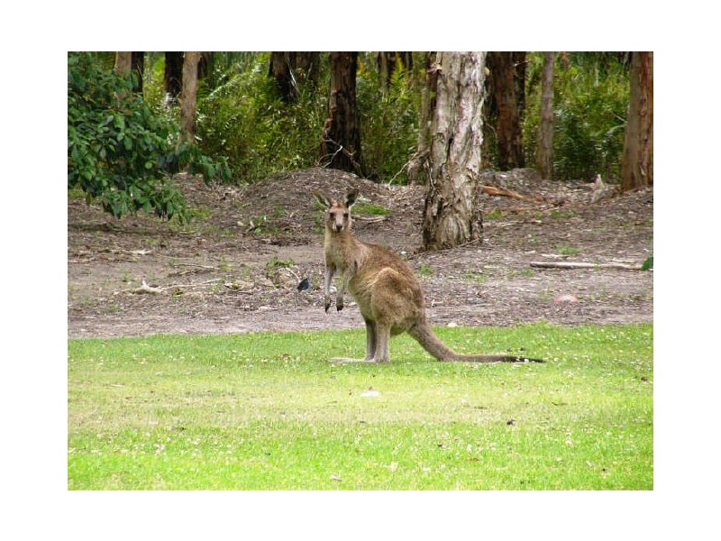 12/27 Rain Tree Glen, Coombabah QLD 4216