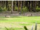 12/27 Rain Tree Glen, Coombabah QLD 4216