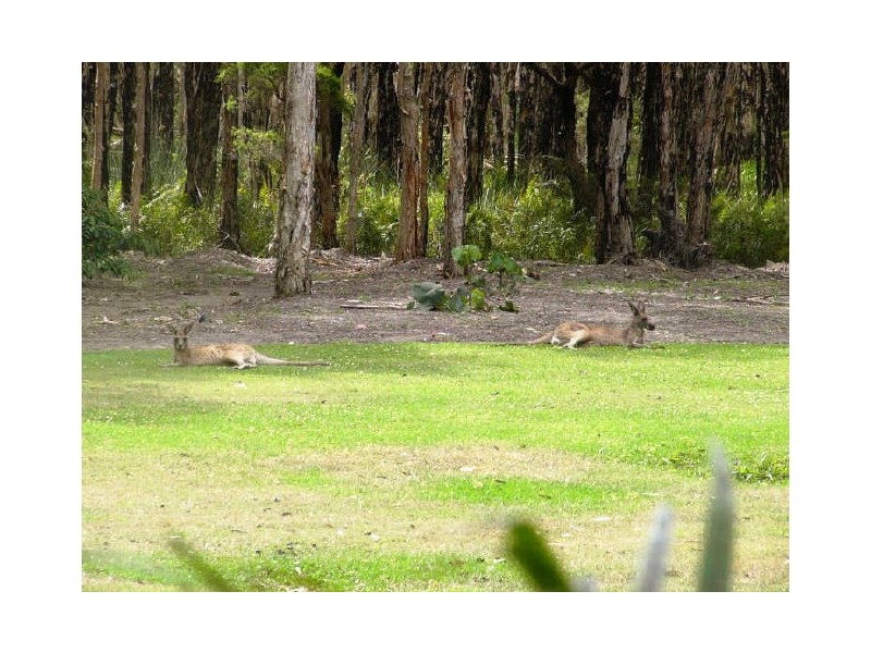12/27 Rain Tree Glen, Coombabah QLD 4216