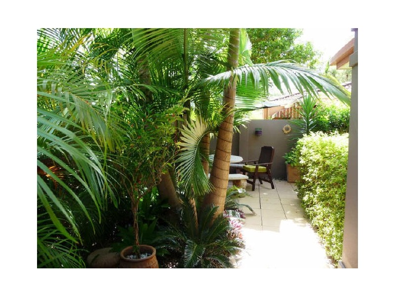 20 Siena Place, Coombabah QLD 4216