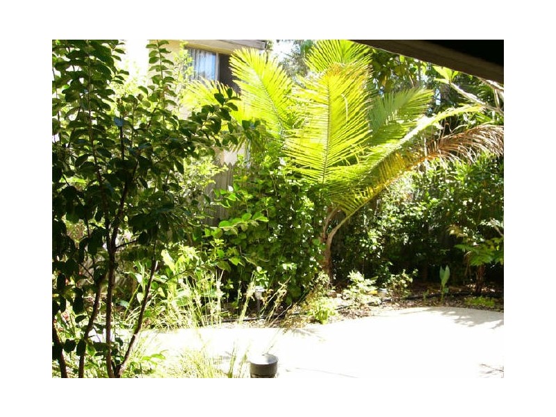 157/641 Pine Ridge Road, Biggera Waters QLD 4216