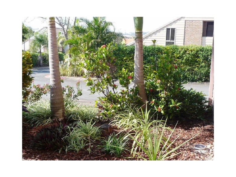 54/601 Pine Ridge Road, Biggera Waters QLD 4216