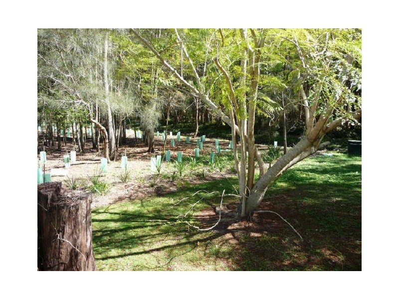 12/482 Pine Ridge Road, Coombabah QLD 4216