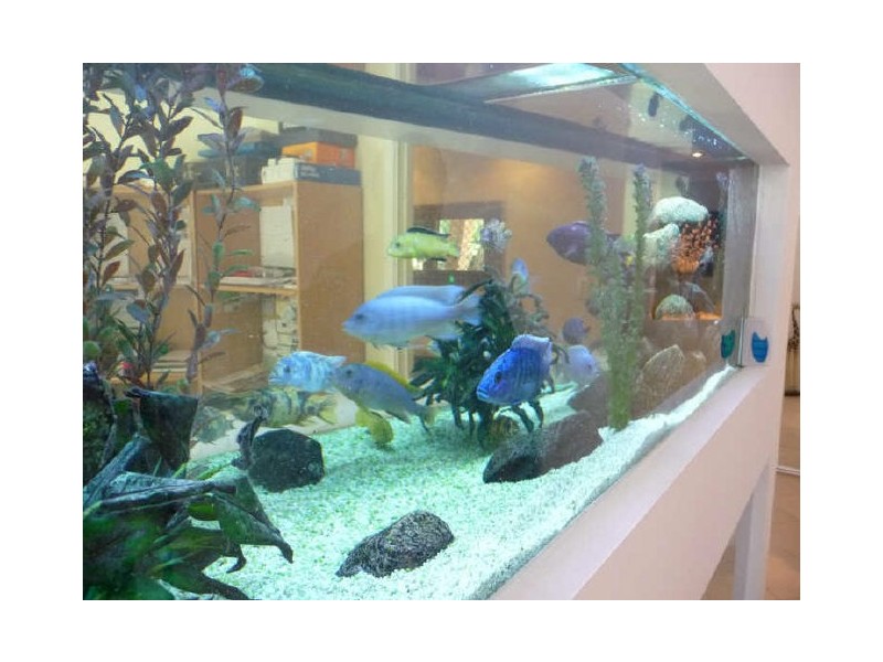 93 California Drive, Oxenford QLD 4210