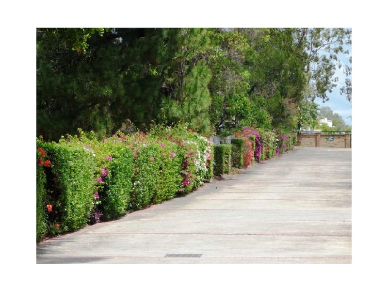 2/413 Oxley Drive, Runaway Bay QLD 4216