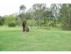 Sarina QLD 4737