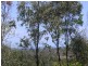 Lot 6 Greenhill Access Road, Ilbilbie QLD 4738