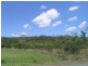 Lot 6 Greenhill Access Road, Ilbilbie QLD 4738