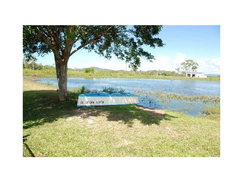 Alligator Creek QLD 4740