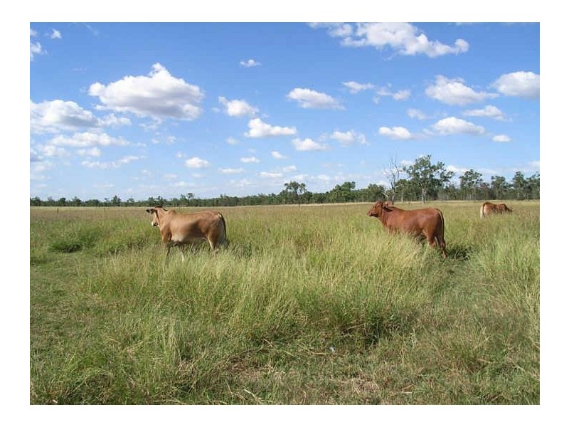 Lot 21 Peak Downs Highway, Ball Bay QLD 4741