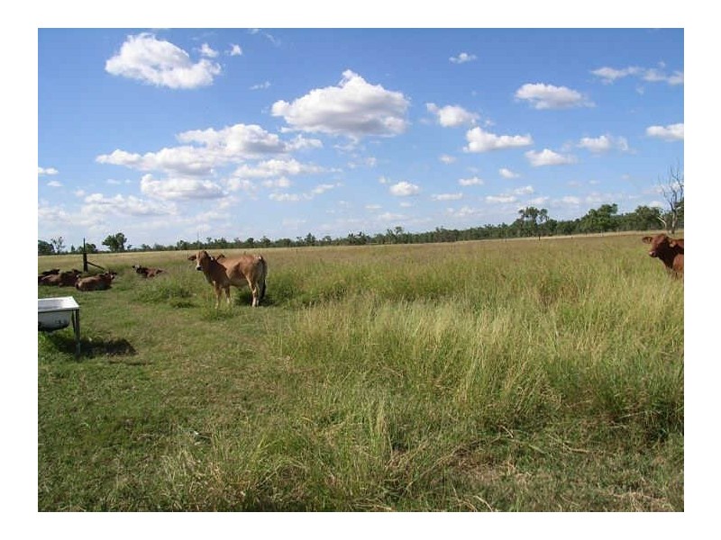 Lot 21 Peak Downs Highway, Ball Bay QLD 4741