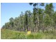Ilbilbie QLD 4738