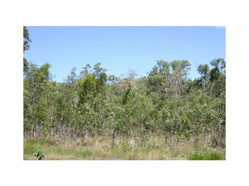 Ilbilbie QLD 4738