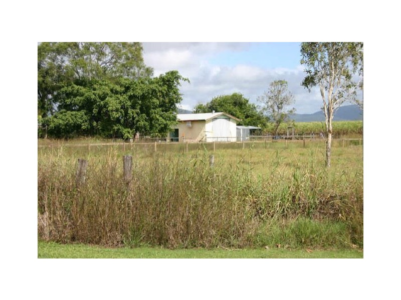 Alligator Creek QLD 4740