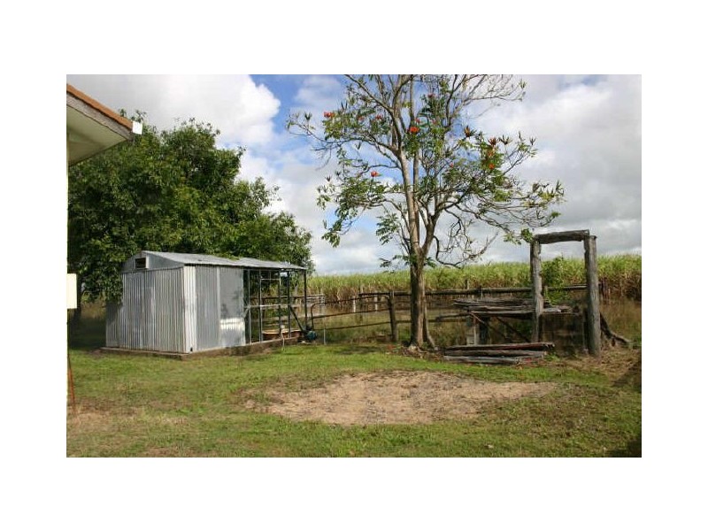 Alligator Creek QLD 4740