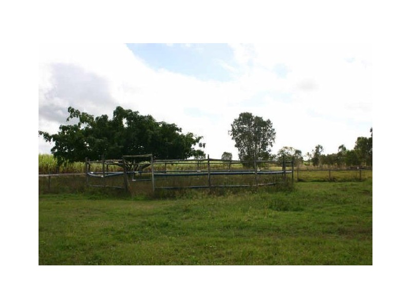 Alligator Creek QLD 4740