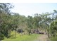 1436 Bolingbroke Road, Koumala QLD 4738