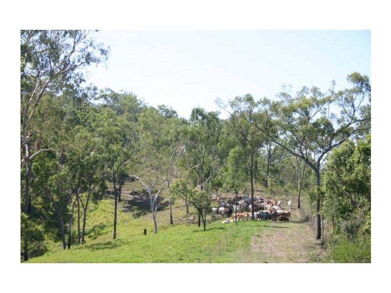 1436 Bolingbroke Road, Koumala QLD 4738