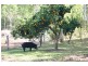 Koumala QLD 4738