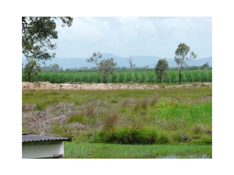 Alligator Creek QLD 4740