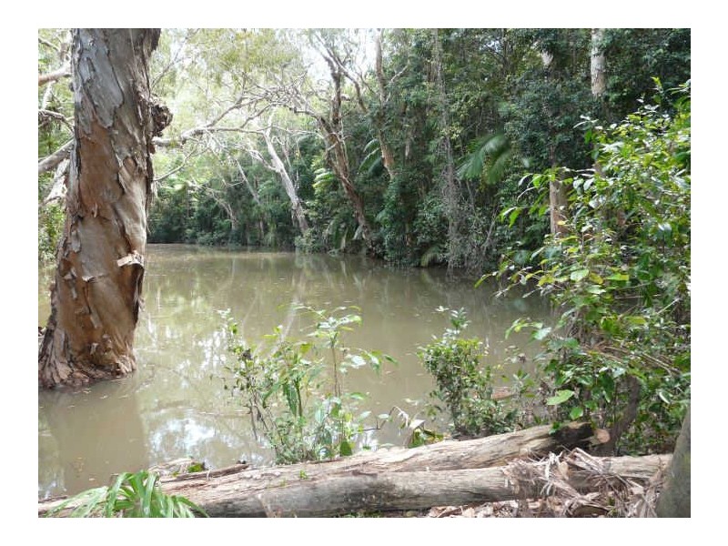 491 Rileys Road, Koumala QLD 4738