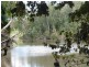 491 Rileys Road, Koumala QLD 4738