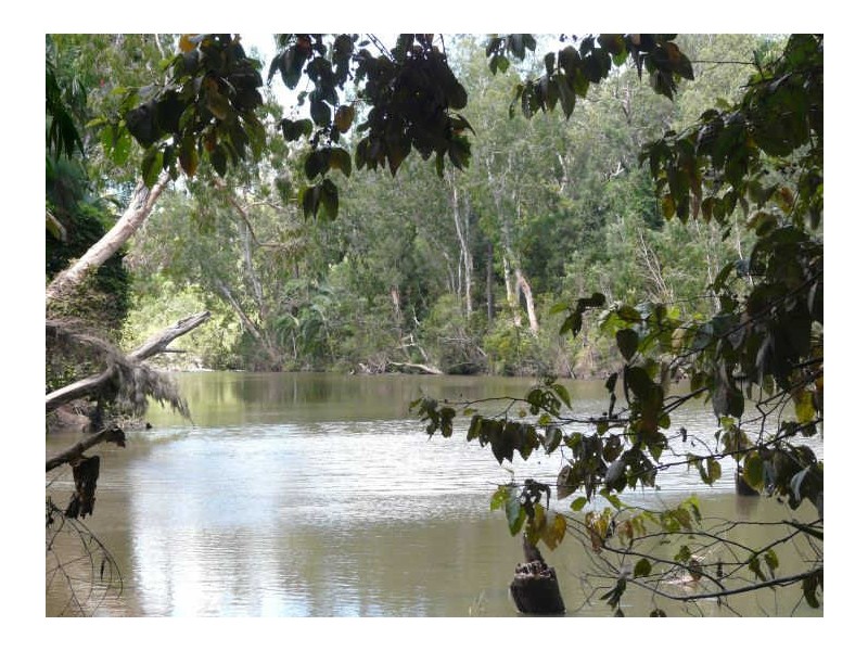 491 Rileys Road, Koumala QLD 4738