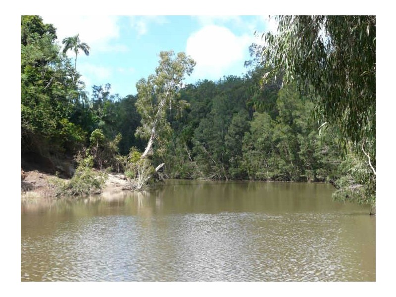 491 Rileys Road, Koumala QLD 4738