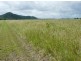 Sarina QLD 4737