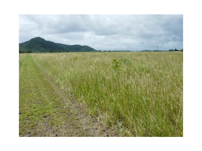 Sarina QLD 4737