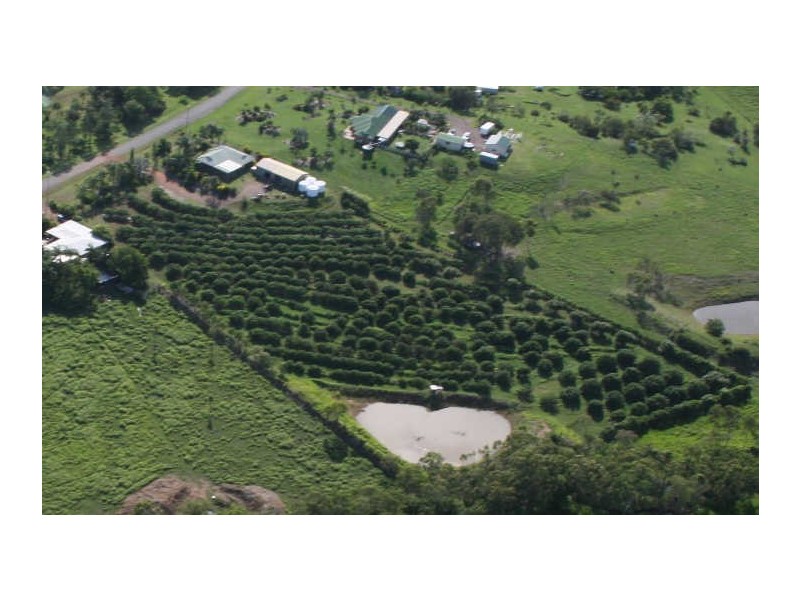 36 Droughtmaster Drive, Hay Point QLD 4740
