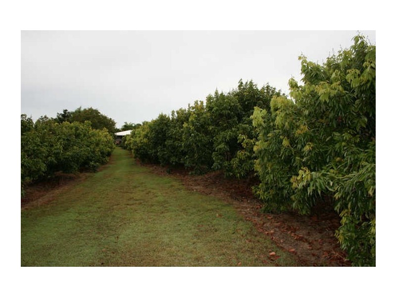 36 Droughtmaster Drive, Hay Point QLD 4740