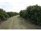 36 Droughtmaster Drive, Hay Point QLD 4740