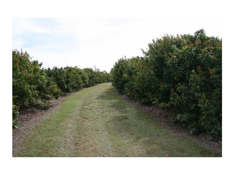 36 Droughtmaster Drive, Hay Point QLD 4740