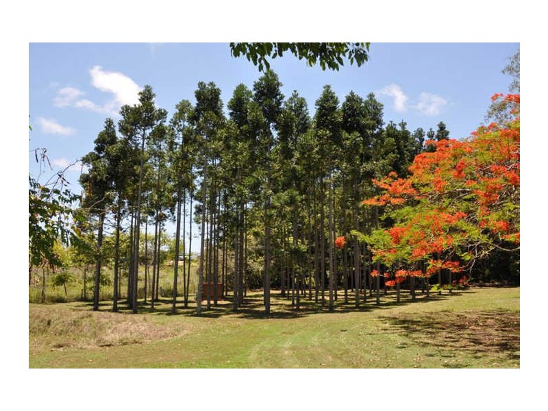 5 Lamberts Road, Sarina QLD 4737