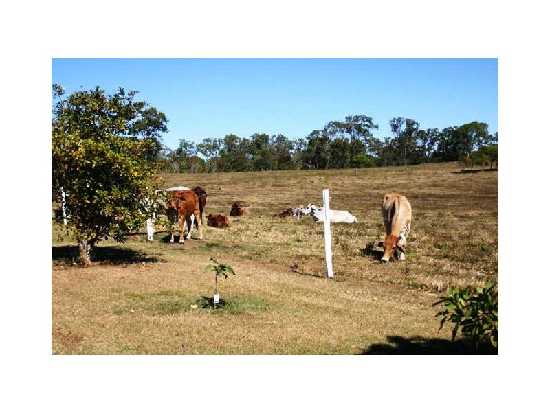 Sarina Beach QLD 4737