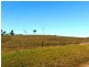 Sarina Beach QLD 4737