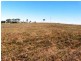 Sarina Beach QLD 4737